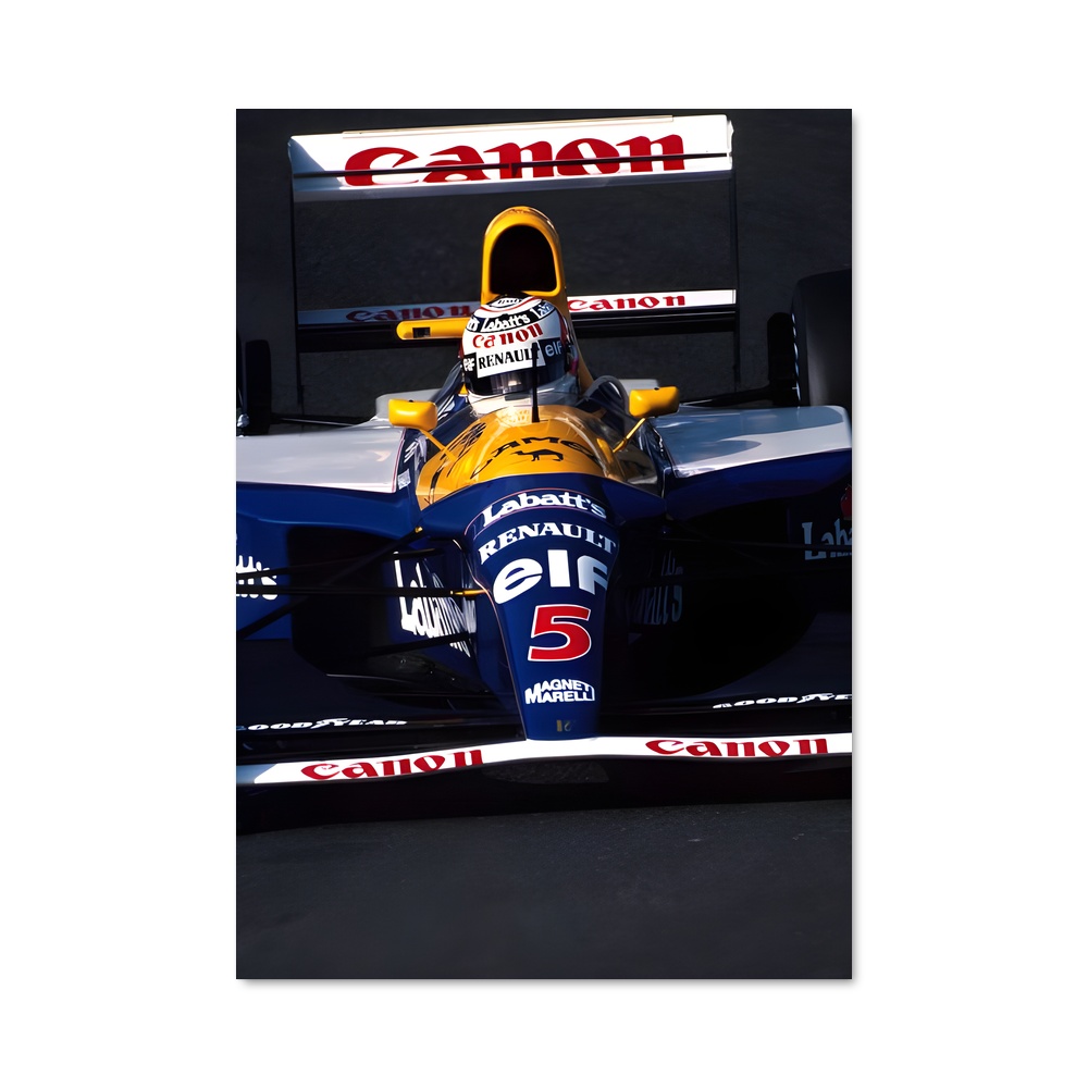 Poster Williams Unleashed
